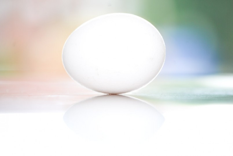 egg
