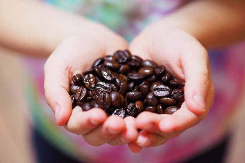 hands holding coffee beans