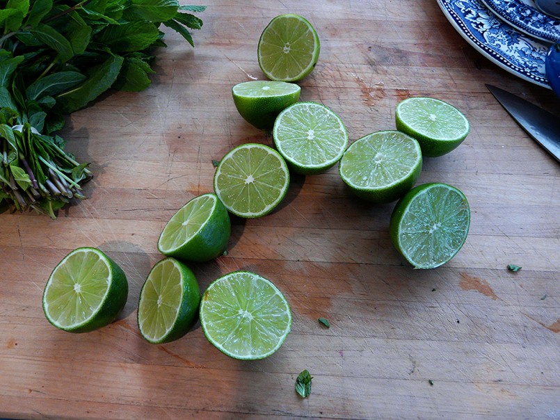 sliced limes and mint