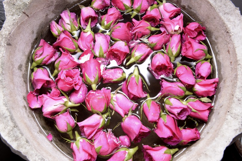 roses with water