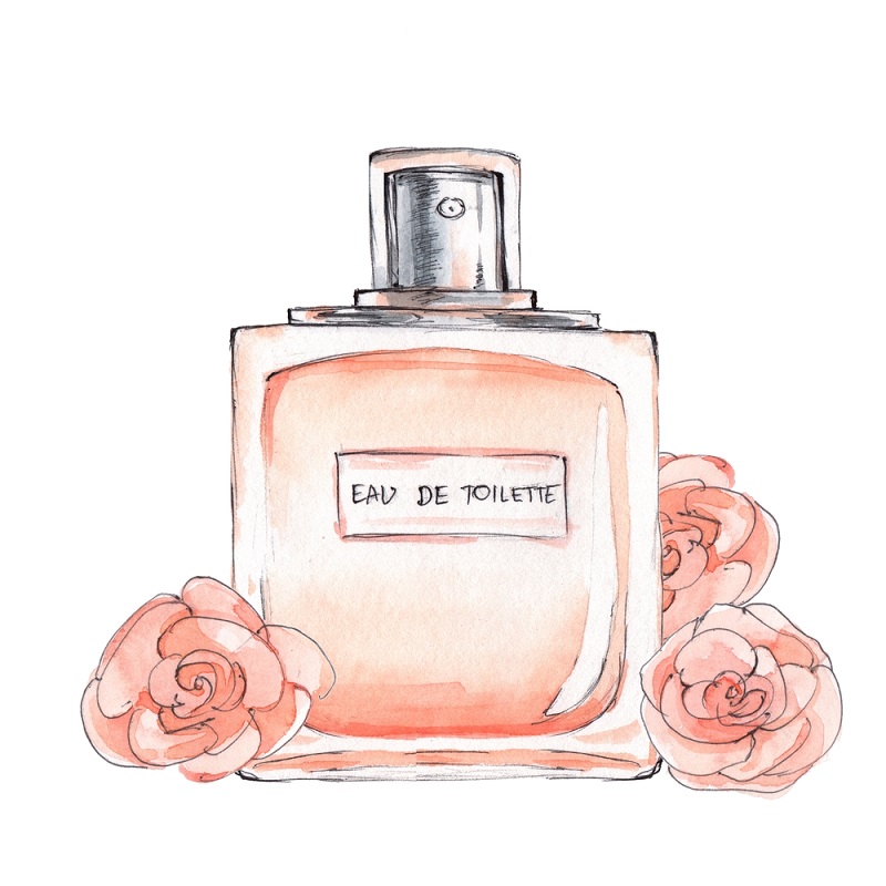 Bottle of perfume. Ink and watercolor sketch 5. Isolated on white background