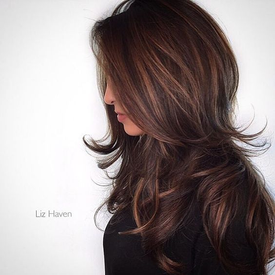 classic deep brown chestnut hair color