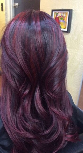 Everything You Need To Know About Plum Hair Dailybeautyhack